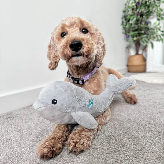 Pet Face Plush Eco Dog Toy - Wolly the Whale