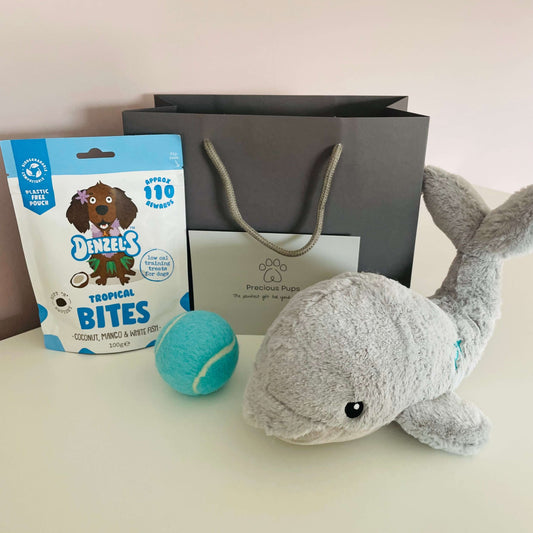 Original Eco Dog Gift Bag