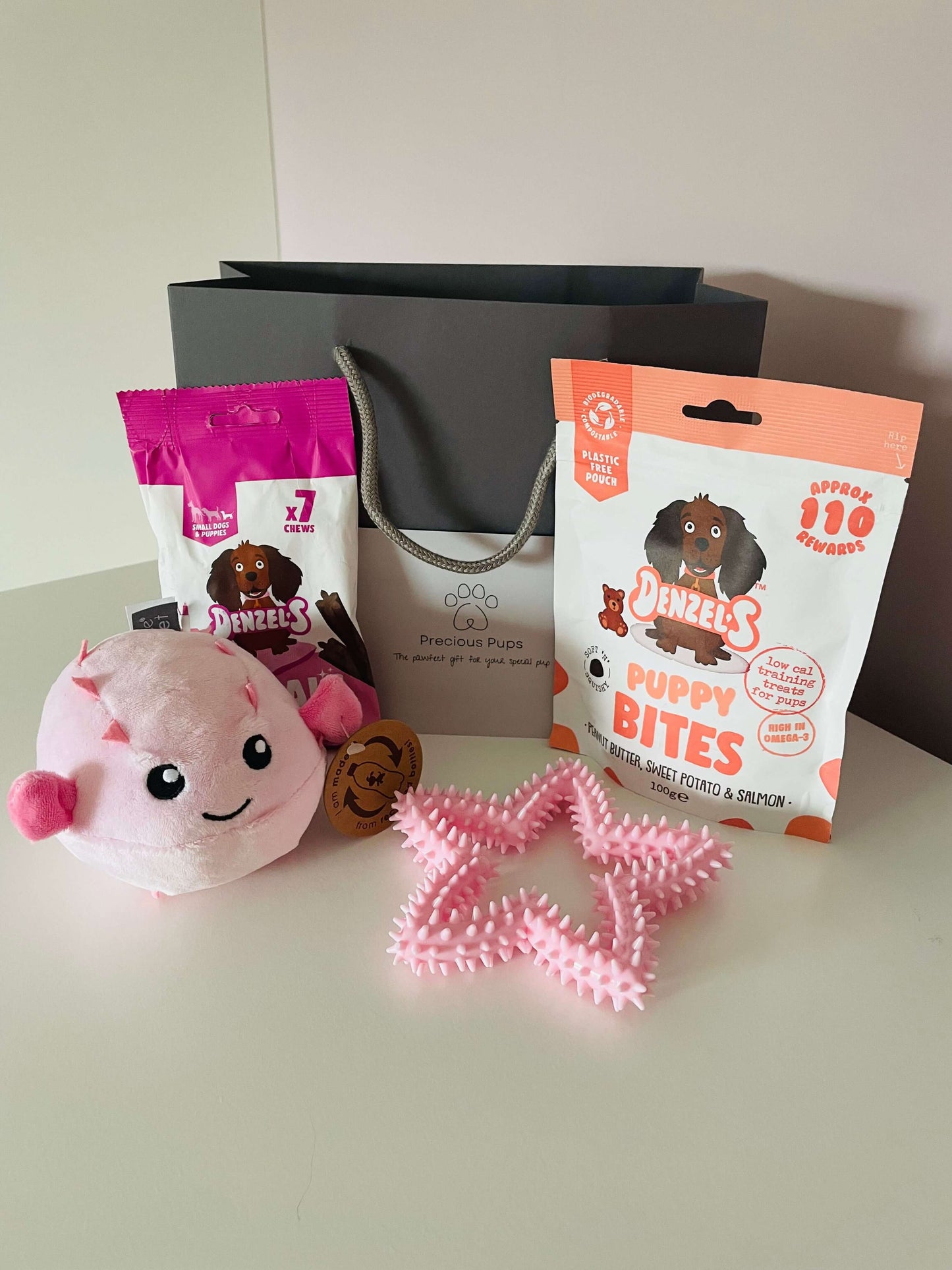 Puppy Gift Bag