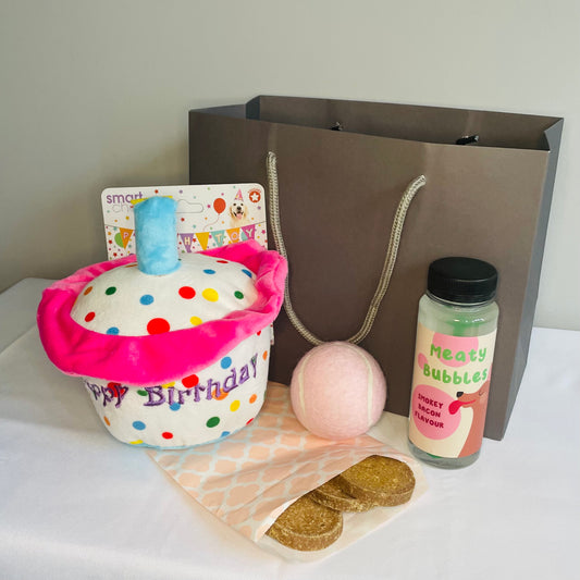 Dog Birthday Gift Bag