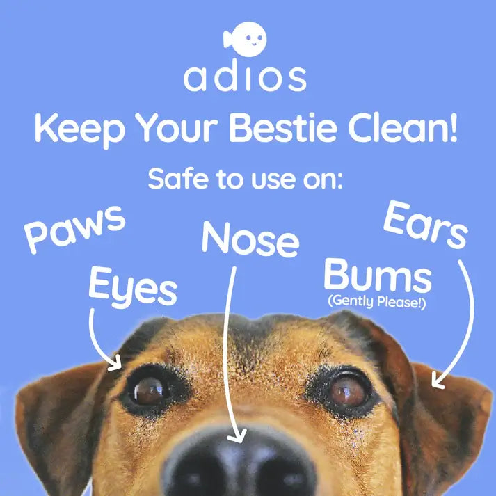 Information on where you can use the wipes on your dog - Keep your bestie clean! Safe to use on your dogs - Paws, Eyes, Nose, Ears and Bums