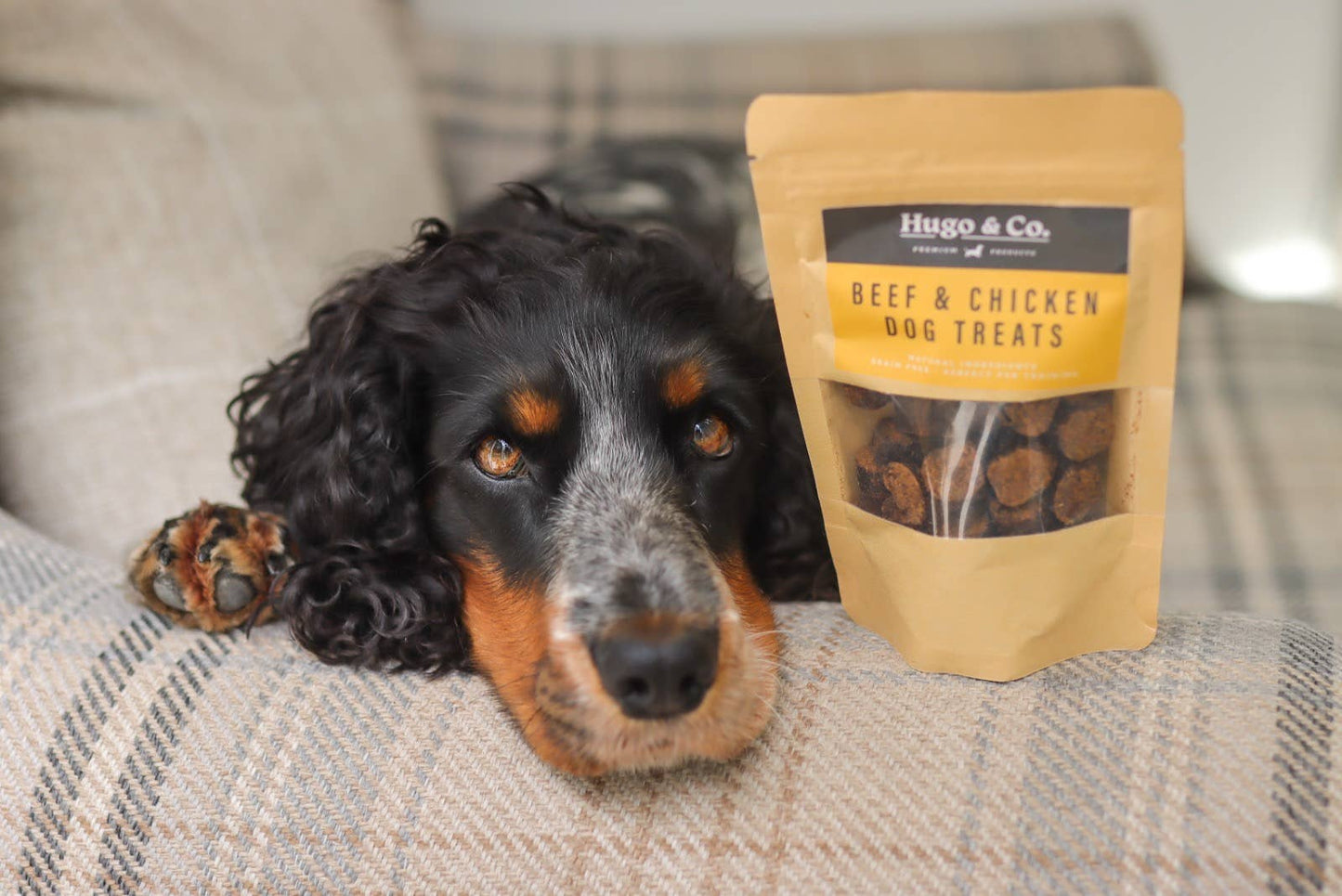 Hugo & Co - Beef & Chicken Dog Treats