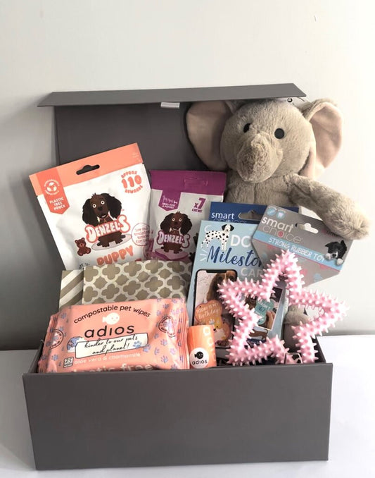 New Puppy Hamper - Box
